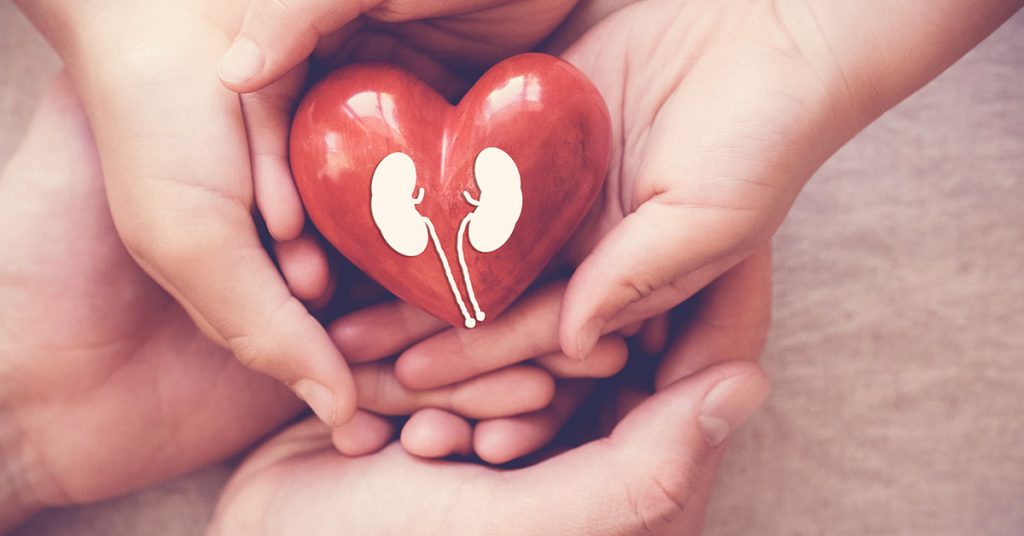 hands holiding red heart with kidney, world kidney day; blog: The Link Between Heart and Kidney Health