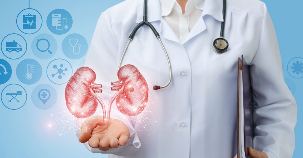 Doctor urologist shows kidneys on a blue background; blog: What Does A Nephrologist Do?