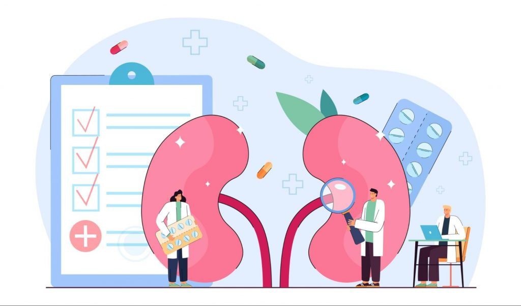an animation of the kidneys to represent Chronic Kidney Disease Statistics