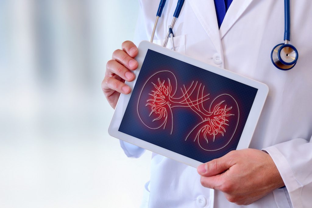 Doctor close-up of a doctor showing a picture of a kidney on a tablet in a hospital to represent the importance of early detection