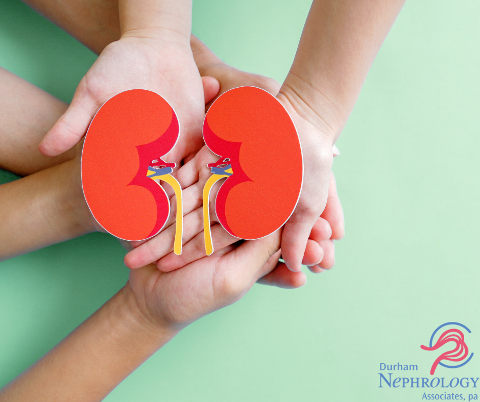 two pairs of hands laid over each other with an animated cut out of kidneys to represent kidney donation